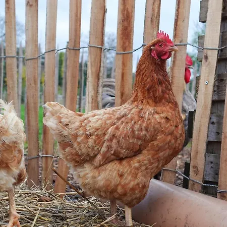 Penthouse : Immersion Dans La Nature 度假居