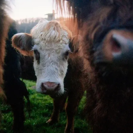 Penthouse : Immersion Dans La Nature 度假居 杜柏