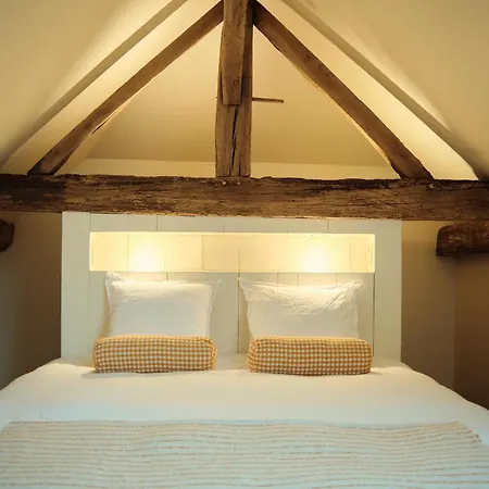 Penthouse : Immersion Dans La Nature